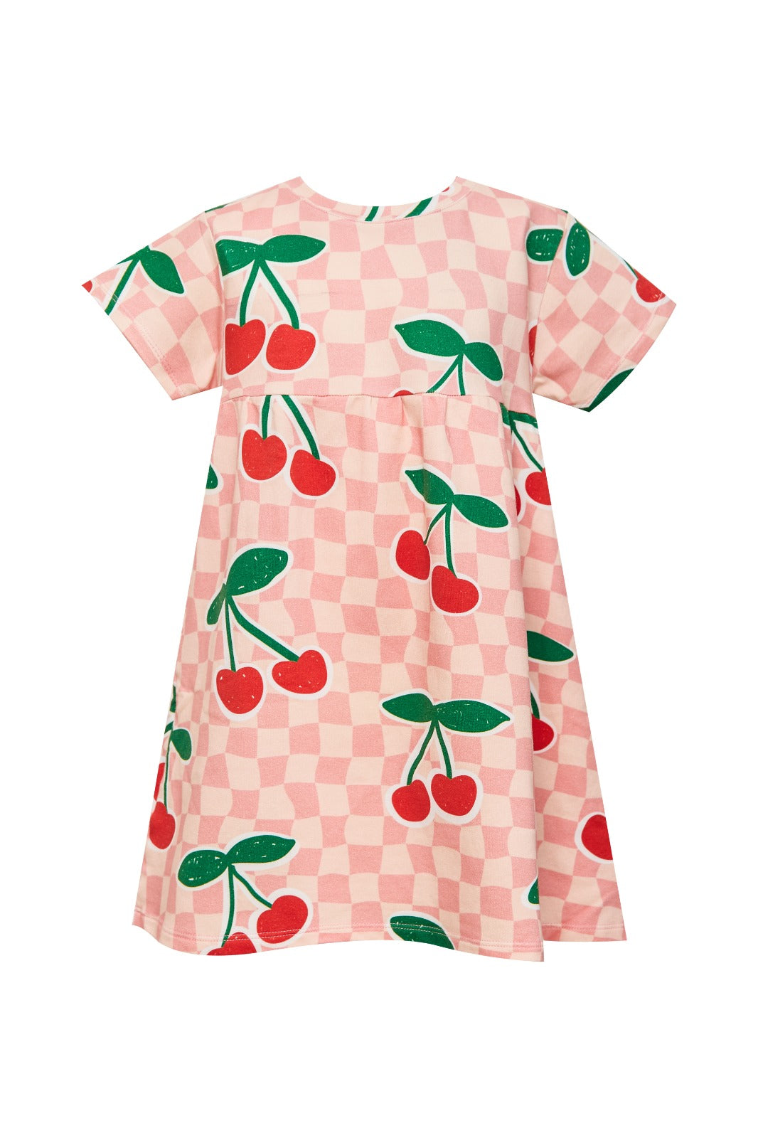 Picnic Dress